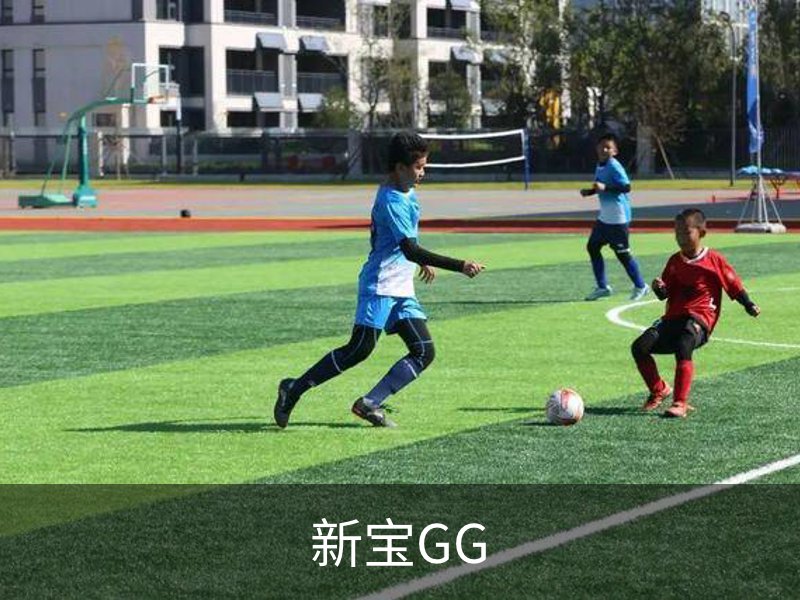 新宝GG(中国)官方网站